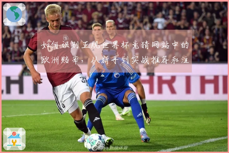 如何识别正规世界杯竞猜网站中的欧洲赔率，从新手到实战推荐和注意事项解析