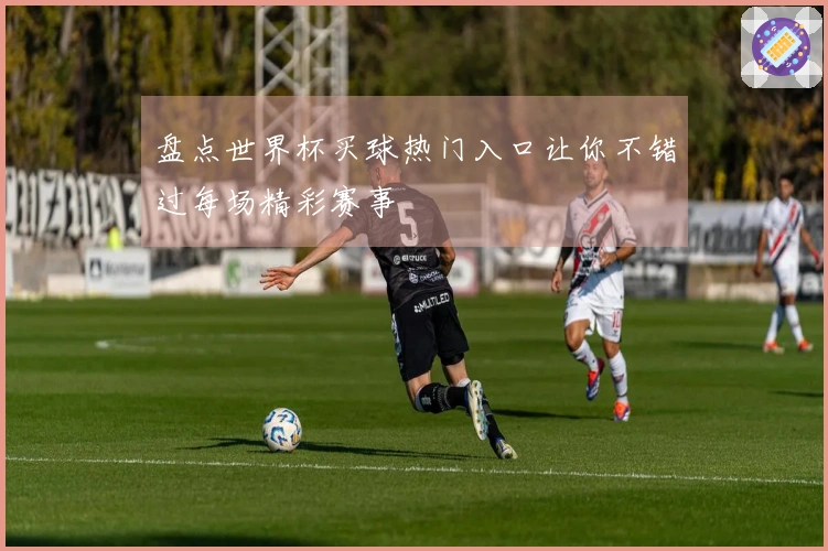 盘点世界杯买球热门入口让你不错过每场精彩赛事