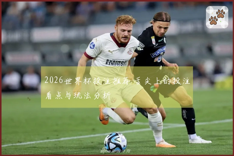 2026世界杯投注推荐 舌尖上的投注看点与玩法分析