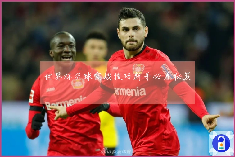 世界杯买球实战技巧新手必看秘笈