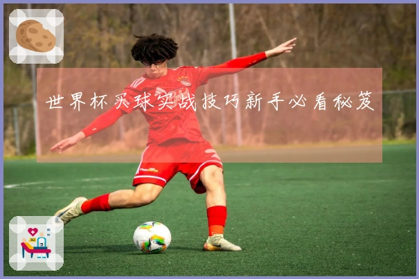 世界杯买球实战技巧新手必看秘笈