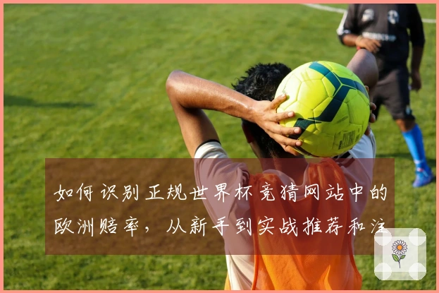 如何识别正规世界杯竞猜网站中的欧洲赔率，从新手到实战推荐和注意事项解析