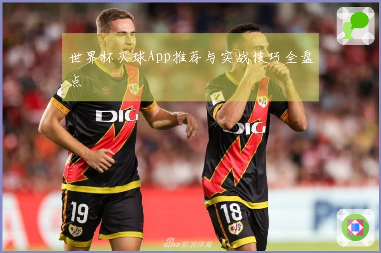 世界杯买球App推荐与实战技巧全盘点