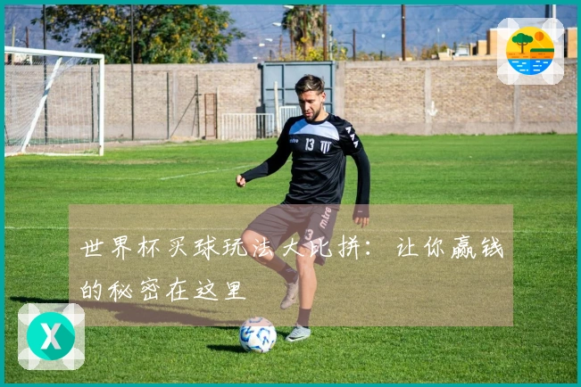 世界杯买球玩法大比拼：让你赢钱的秘密在这里